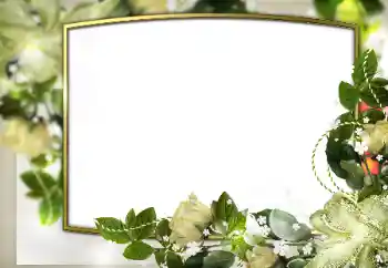 Photo effect from category Wedding frames № 169345