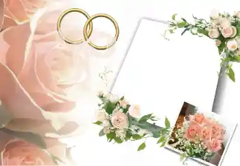Photo effect from category Wedding frames № 17002
