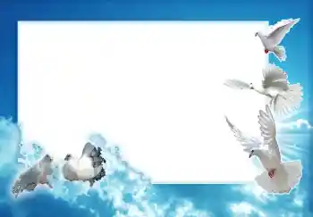 Photo effect from category Wedding frames № 1710