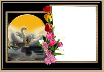 Photo effect from category Wedding frames № 171804