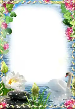 Photo effect from category Wedding frames № 174059