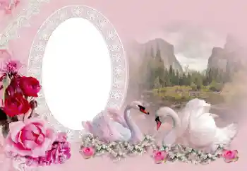 Photo effect from category Wedding frames № 175415