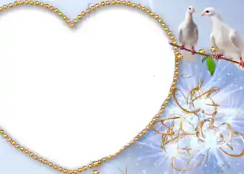 Photo effect from category Wedding frames № 175