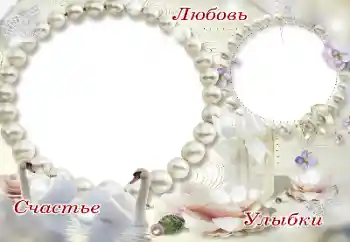 Photo effect from category Wedding frames № 176764