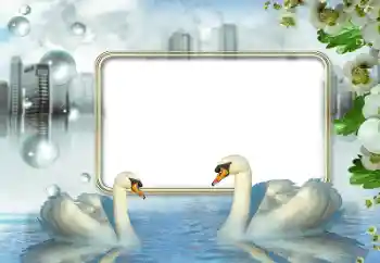 Photo effect from category Wedding frames № 176840