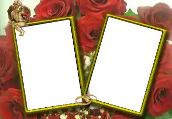 Photo effect from category Wedding frames № 1768