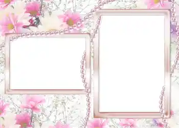 Photo effect from category Wedding frames № 177