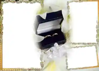 Photo effect from category Wedding frames № 182