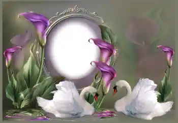 Photo effect from category Wedding frames № 185841