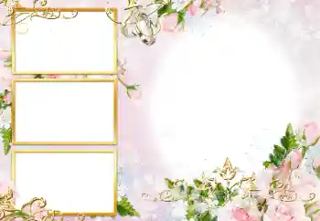 Photo effect from category Wedding frames № 190471