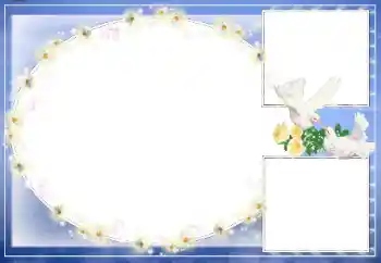 Photo effect from category Wedding frames № 26570