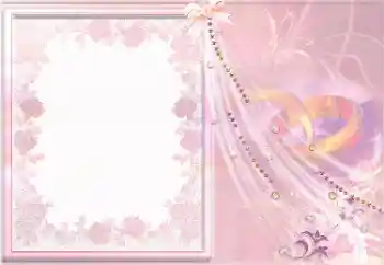 Photo effect from category Wedding frames № 26579
