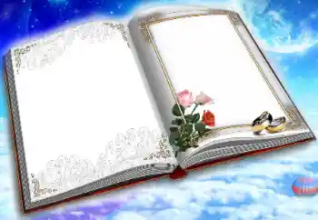 Photo effect from category Wedding frames № 31735