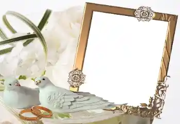 Photo effect from category Wedding frames № 32814