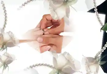 Photo effect from category Wedding frames № 33954