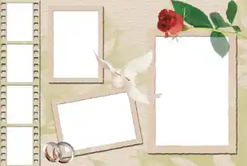 Photo effect from category Wedding frames № 36230