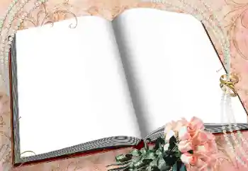 Photo effect from category Wedding frames № 38744