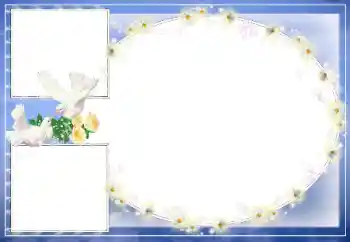 Photo effect from category Wedding frames № 39329