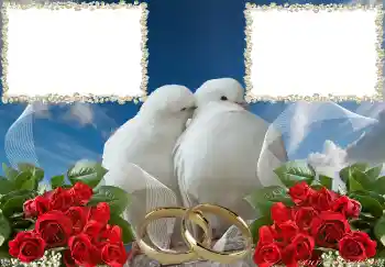 Photo effect from category Wedding frames № 3951