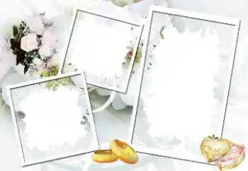 Photo effect from category Wedding frames № 40512