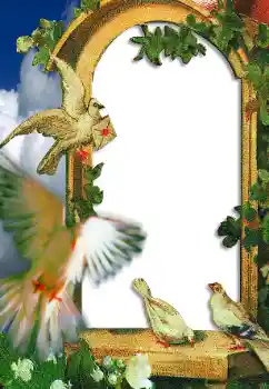 Photo effect from category Wedding frames № 45665