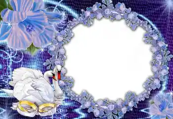 Photo effect from category Wedding frames № 45668