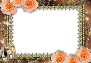 Photo effect from category Wedding frames № 45669