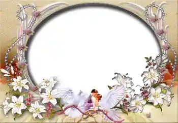 Photo effect from category Wedding frames № 45827