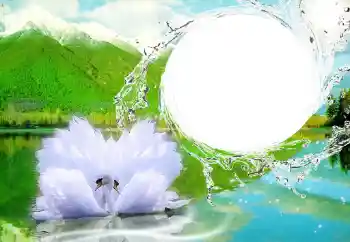 Photo effect from category Wedding frames № 47252