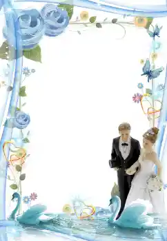Photo effect from category Wedding frames № 4921