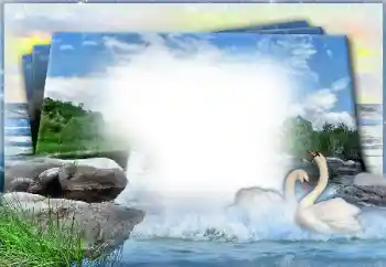 Photo effect from category Wedding frames № 49460