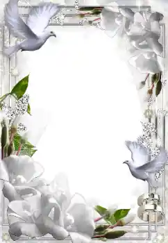 Photo effect from category Wedding frames № 49574