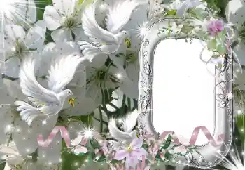 Photo effect from category Wedding frames № 50686