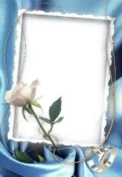 Photo effect from category Wedding frames № 52010