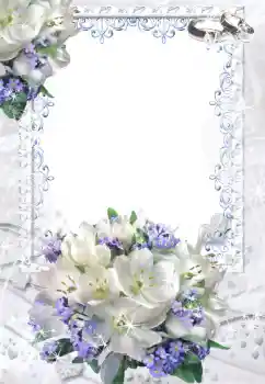 Photo effect from category Wedding frames № 52201