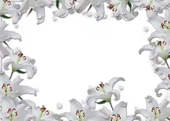 Photo effect from category Wedding frames № 54