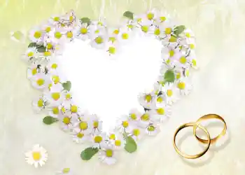 Photo effect from category Wedding frames № 56