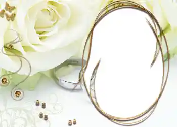 Photo effect from category Wedding frames № 57