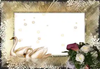 Photo effect from category Wedding frames № 58998