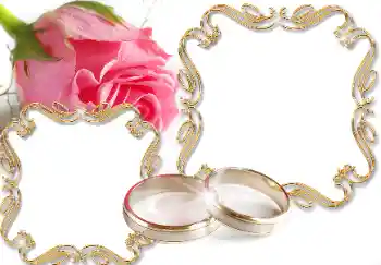 Photo effect from category Wedding frames № 61608