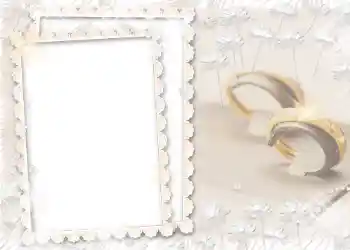 Photo effect from category Wedding frames № 61