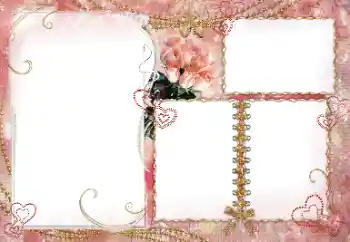 Photo effect from category Wedding frames № 64045