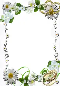 Photo effect from category Wedding frames № 64107