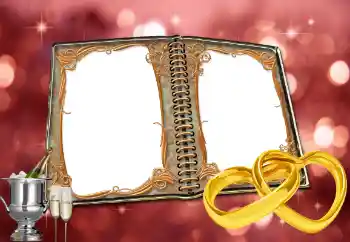 Photo effect from category Wedding frames № 64445