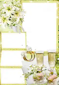 Photo effect from category Wedding frames № 6516