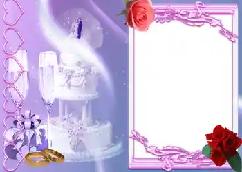 Photo effect from category Wedding frames № 65