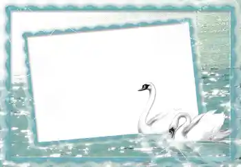 Photo effect from category Wedding frames № 70895