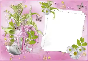 Photo effect from category Wedding frames № 81487