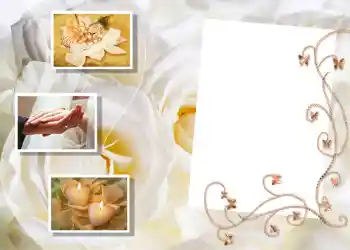 Photo effect from category Wedding frames № 81
