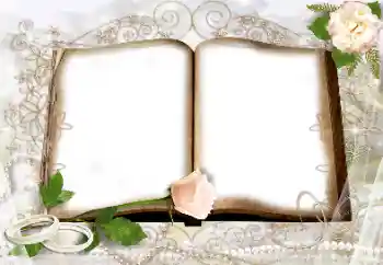 Photo effect from category Wedding frames № 8718